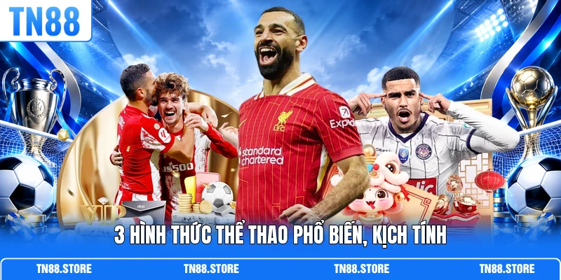 3 hình thức thể thao phổ biến, kịch tính