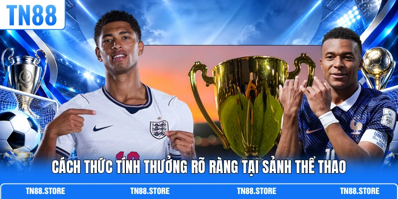 Cách thức tính thưởng rõ ràng tại sảnh thể thao