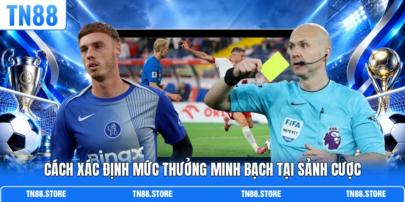 Cách xác định mức thưởng minh bạch tại sảnh cược