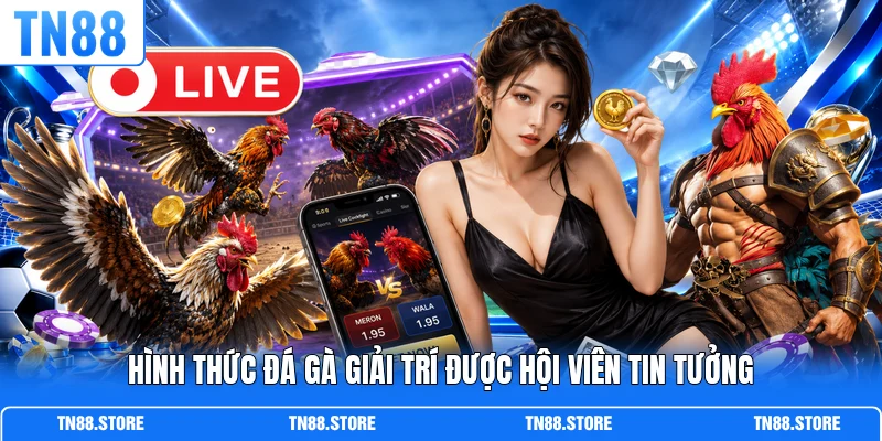 Hình thức đá gà giải trí được hội viên tin tưởng
