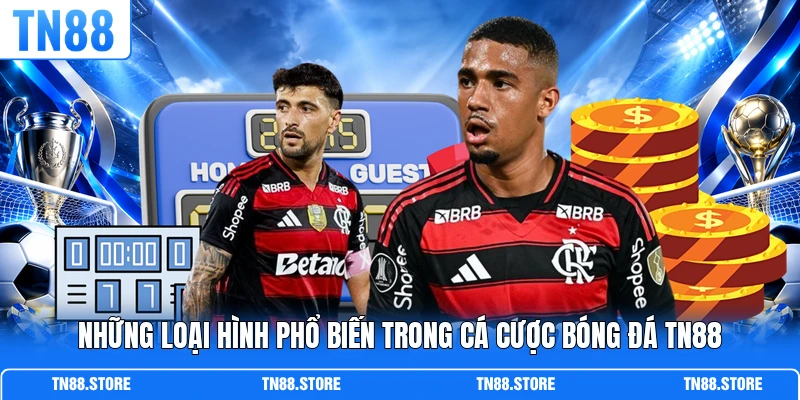 Những loại hình phổ biến trong cá cược bóng đá TN88
